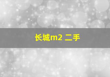 长城m2 二手